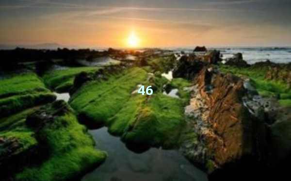 SEO怎么做才能让你的网站脱颖而出?